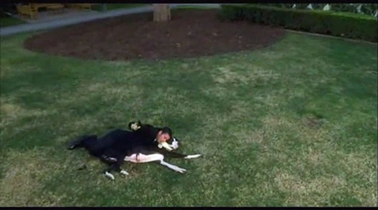 Wie das Leben so spielt Videoclip (2) DF