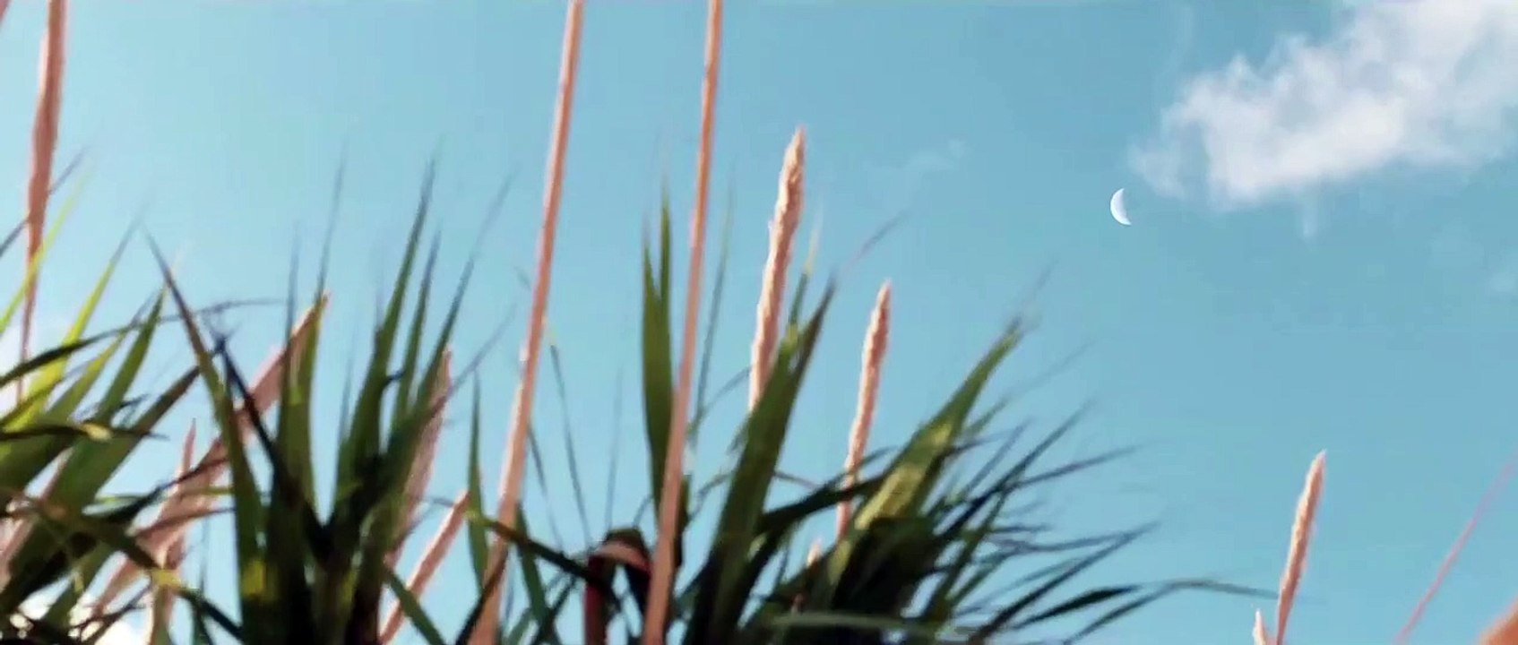 Fiore Gemello Trailer Original
