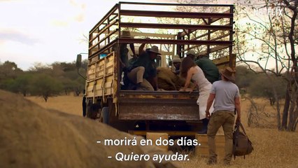 Safari por Navidad Tráiler VO