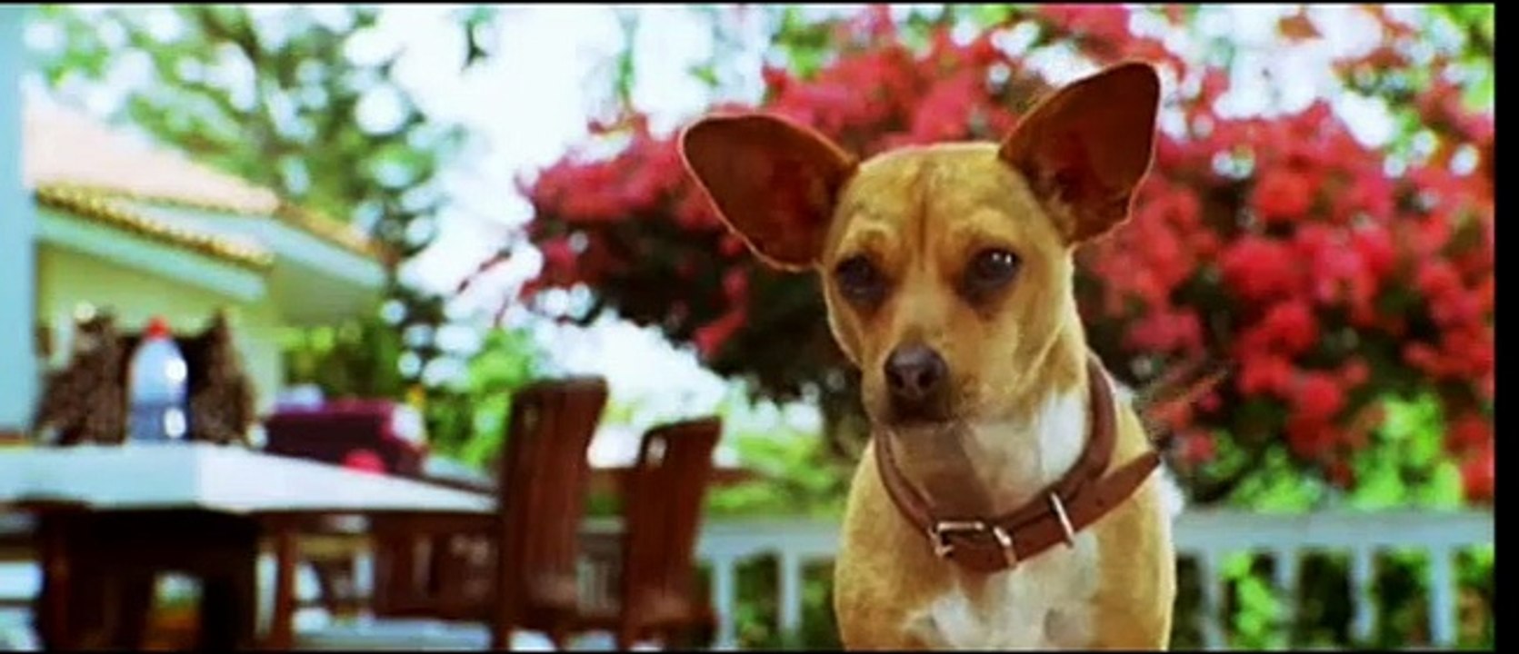 Beverly Hills Chihuahua Trailer (3) DF