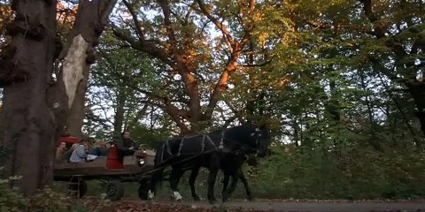 College Vampires Trailer DF
