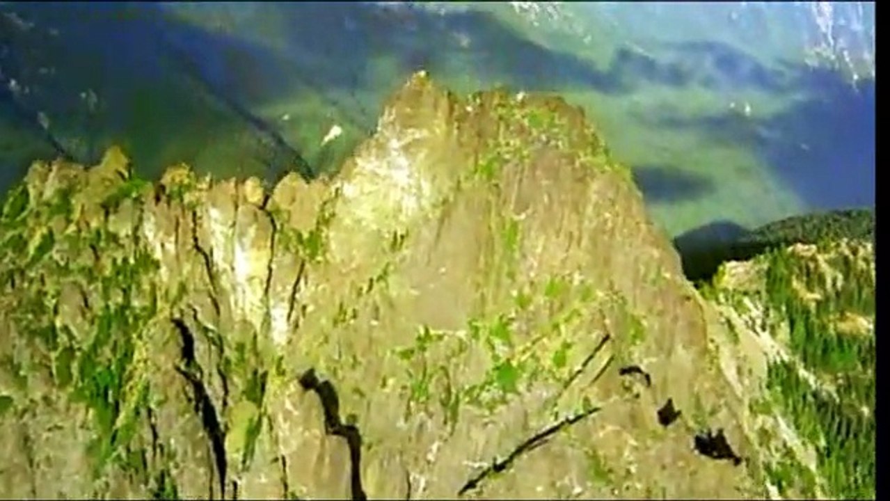 Grizzly Man Trailer DF