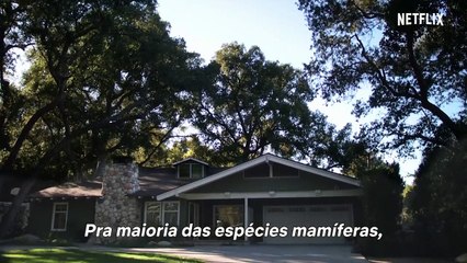 Atypical 2ª Temporada Trailer Legendado