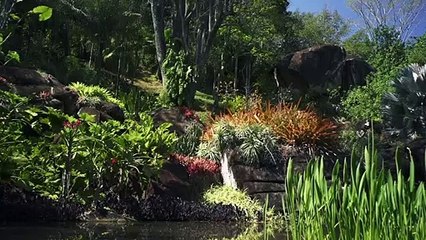 Filme Paisagem - Um Olhar Sobre Roberto Burle Marx Trailer Oficial