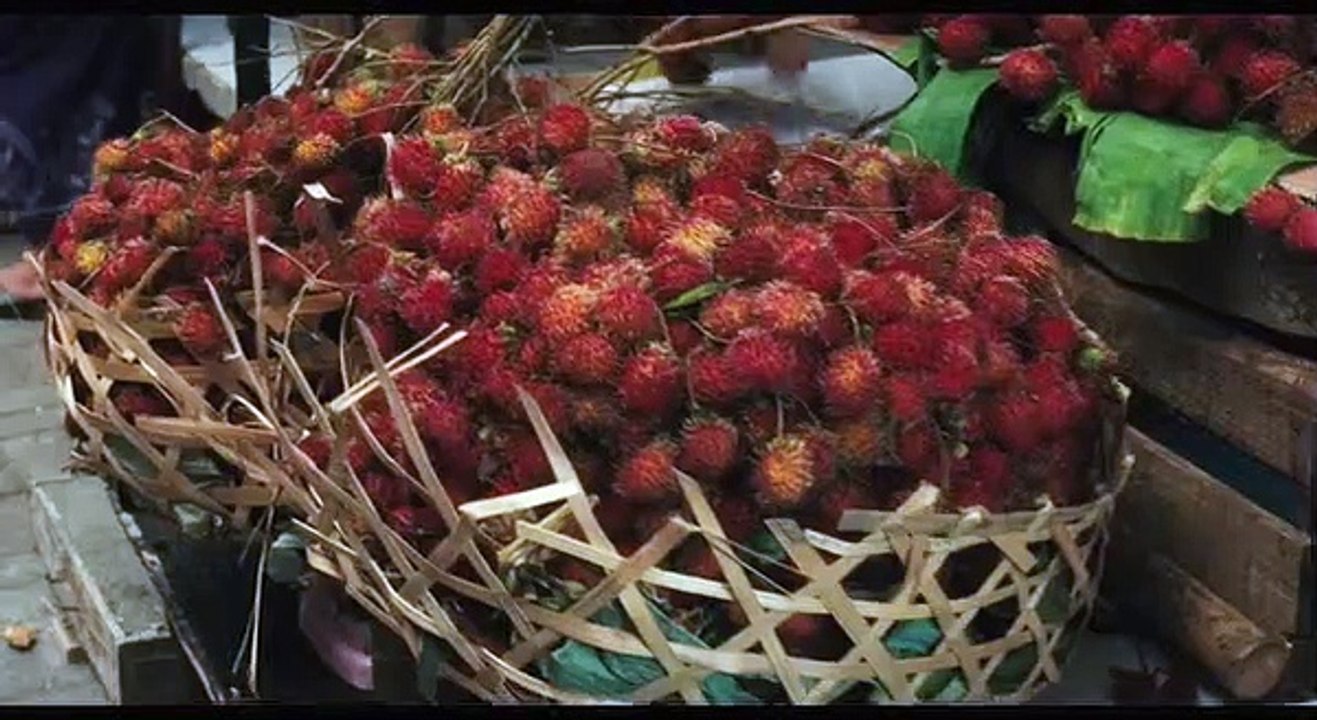 Eat Pray Love Videoauszug DF