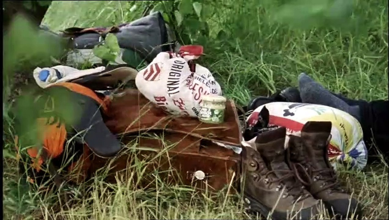 Auf der Walz Trailer DF