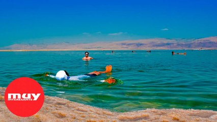 3 criaturas que viven en el Mar Muerto
