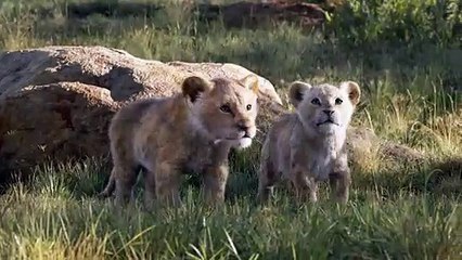 El Rey León Reportaje VO