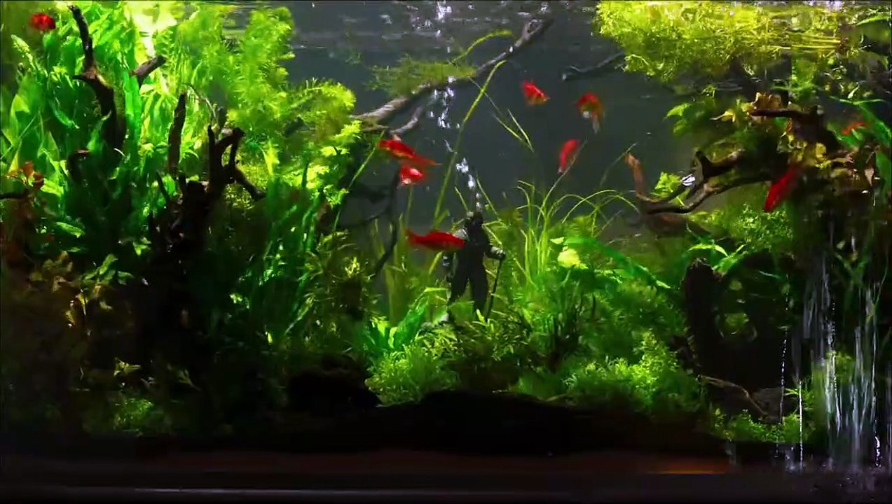 Ondina Tráiler (2) VO