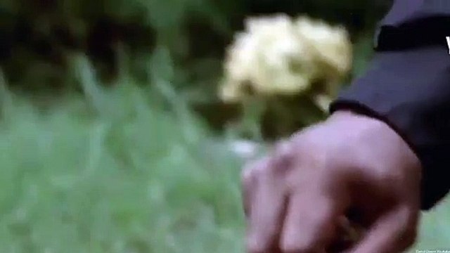 The Walking Dead - Temporada 10 - episodio 8 Tráiler VO