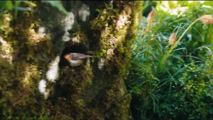 El jardín secreto Teaser (2) VO