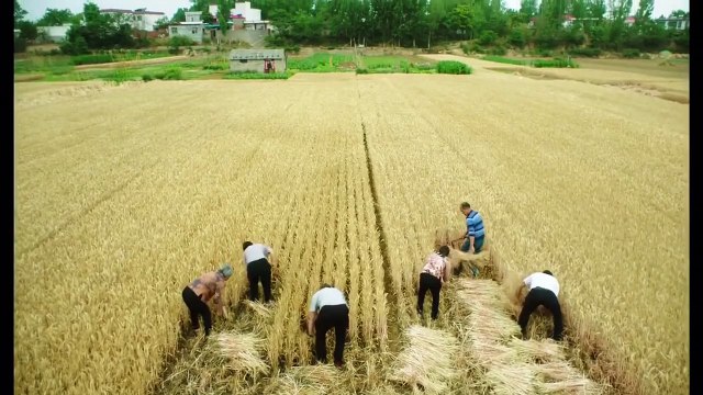 So Close My Land Teaser VO