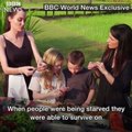 Angelina Jolie mange des araignées et des insectes avec ses enfants !