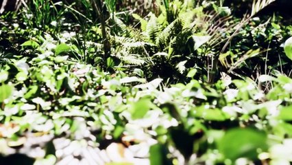 Floating Through Time