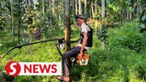 A farmer in India invents tree-climbing 'scooter'