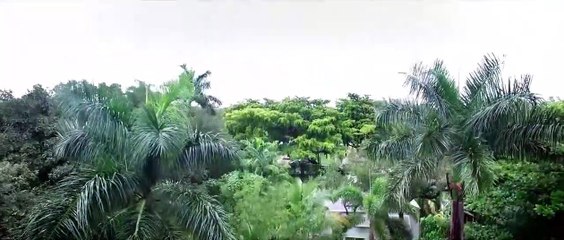 American Valhalla Trailer OV