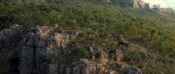 Mogli – Entre Dois Mundos Trailer (2) Legendado