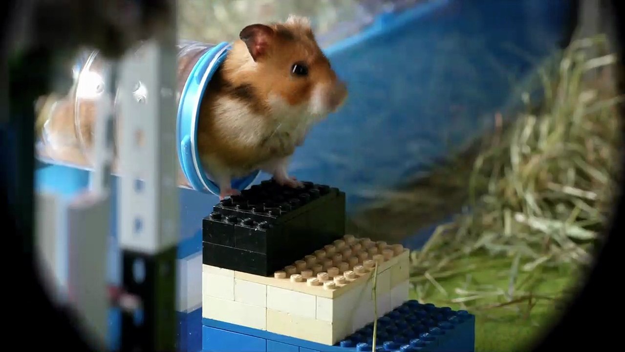 Rettet Raffi! Trailer DF