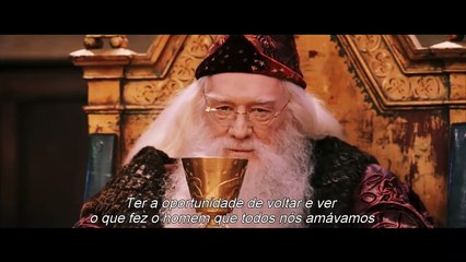 Animais Fantásticos: Os Crimes de Grindelwad Teaser (2) Legendado