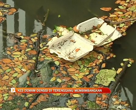 Kes demam denggi di Terengganu membimbangkan