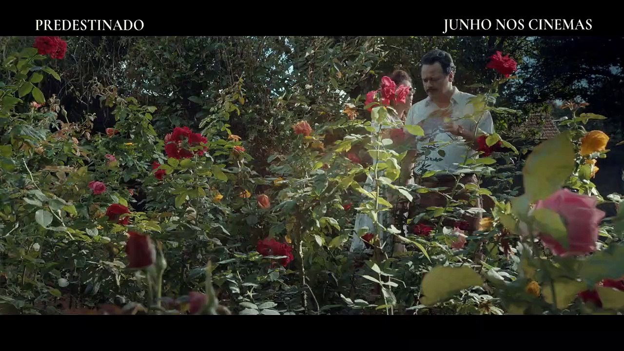 Predestinado Trailer