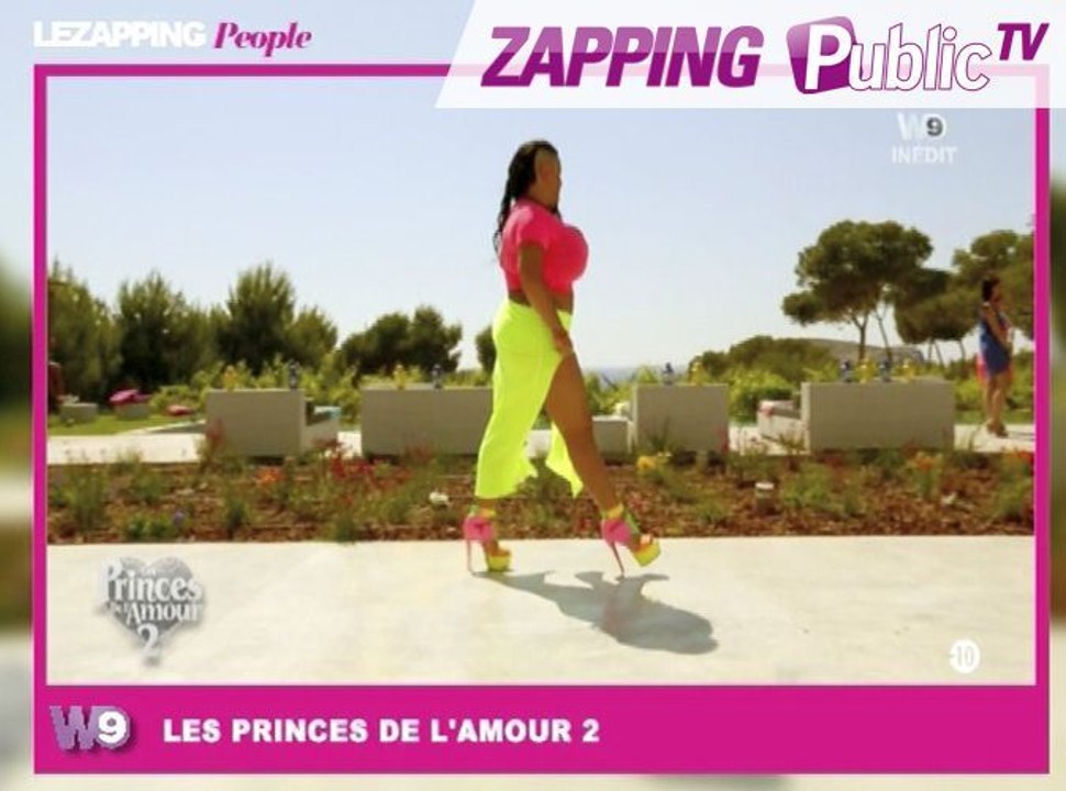 Zapping Public TV n°794 : Les Princes de l'Amour : une prétendante gonflée à bloc !