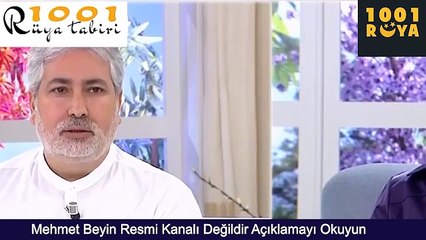 Rüyada At Görmek | Kahverengi At, Siyah At