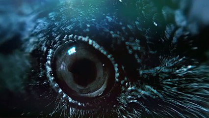 Betty, They Say I&#039;m Different Trailer Original