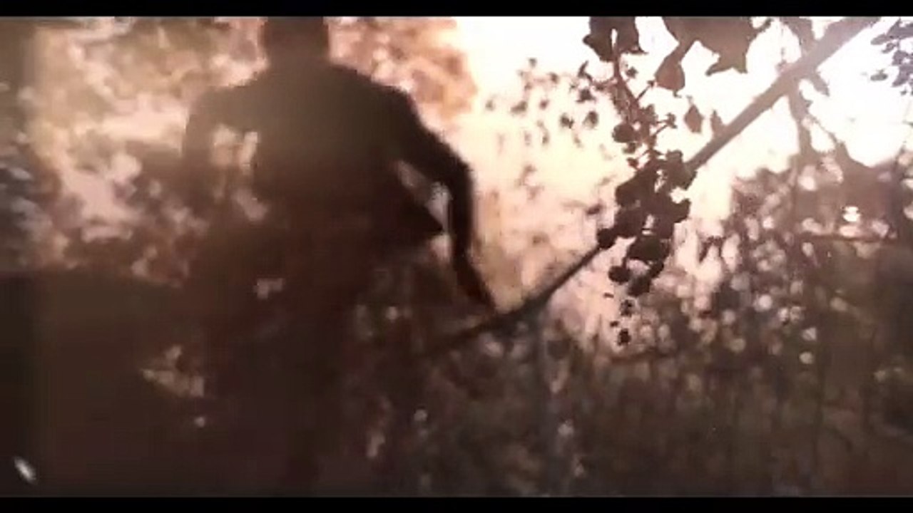 Strays Trailer OV