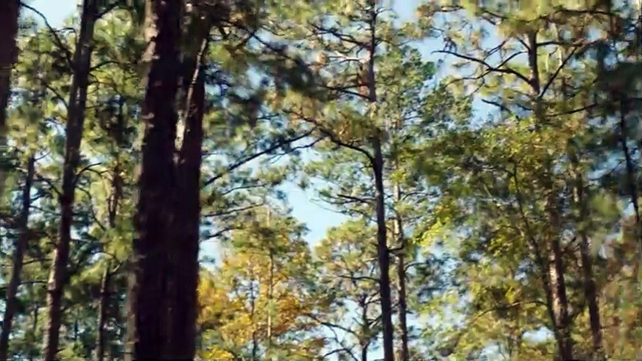 Die Pute von Panem - The Starving Games Trailer DF