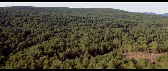 Campamento Albanta Teaser (2)