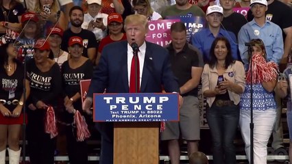 The Swamp Tráiler VO