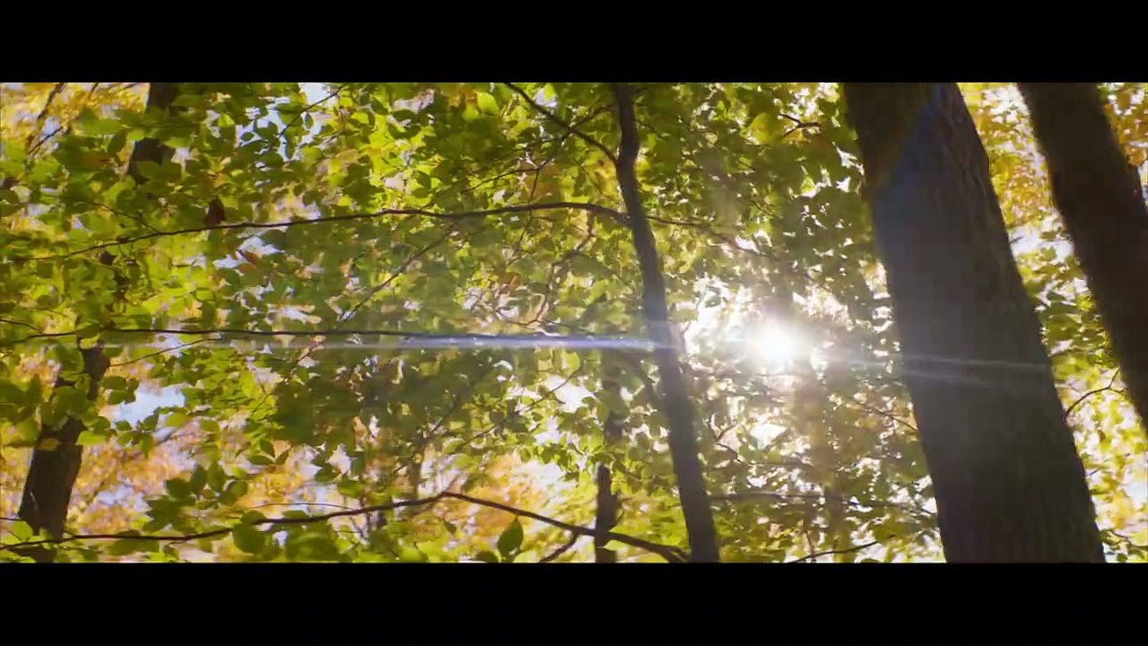 Falling Tráiler
