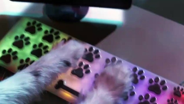 Como perros y gatos: La patrulla unida Trailer