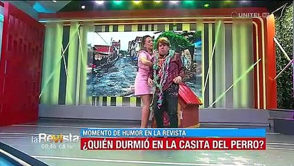 Humor: Jack nos contó porqué terminó durmiendo en la casa de su mascota