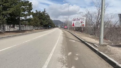 Üniversite öğrencisi, sokak köpeğinden kaçarken otomobilin çarpması sonucu yaralandı