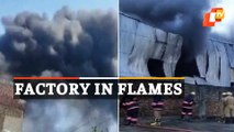 WATCH | Major Fire Breaks Out At Plastic Factory In Delhi, No Casualties Reported