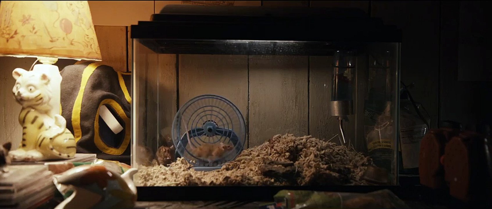 Split Trailer (2) DF