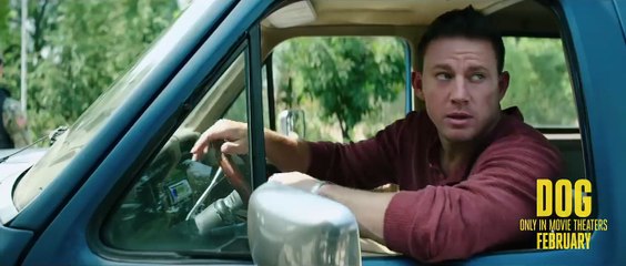 Dog - Trailer VO