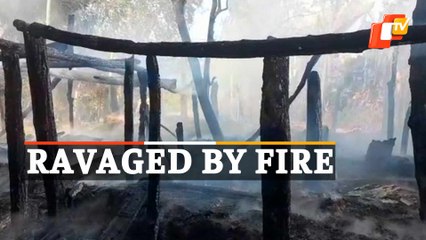 WATCH | Houses Gutted By Massive Fire