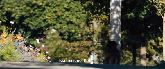 A Caminho de Casa Clipe "Vai Pra Casa" Legendado