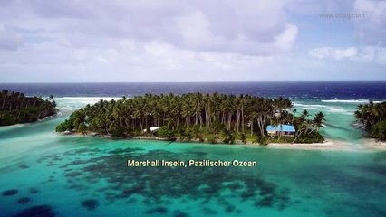 Fly Rocket Fly Trailer Original