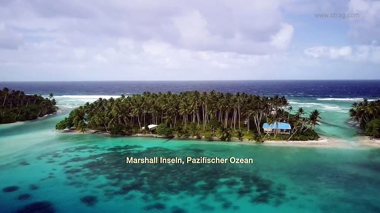 Fly Rocket Fly Trailer Original