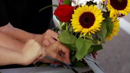 O Silêncio dos Outros Clipe (1) Original