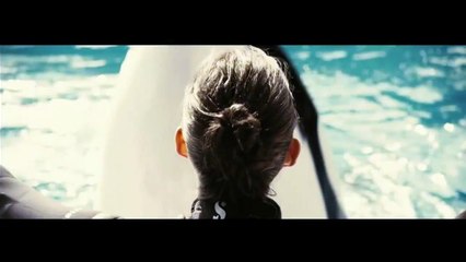 Der Geschmack von Rost und Knochen Trailer OV