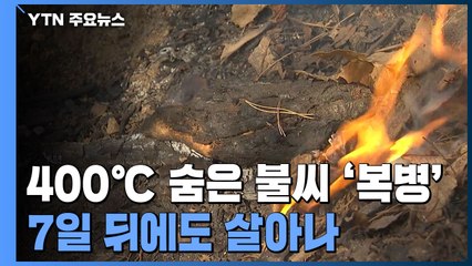 400℃ 숨은 불씨 '복병'..."7일 뒤에도 살아난다" / YTN