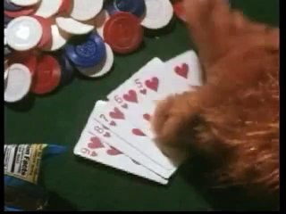 Alf - Der Film Trailer OV