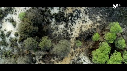 Porvenir Teaser