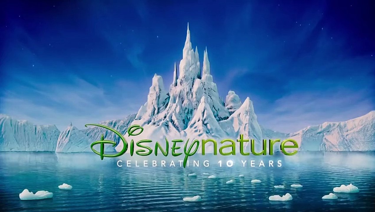 Penguins Trailer Original