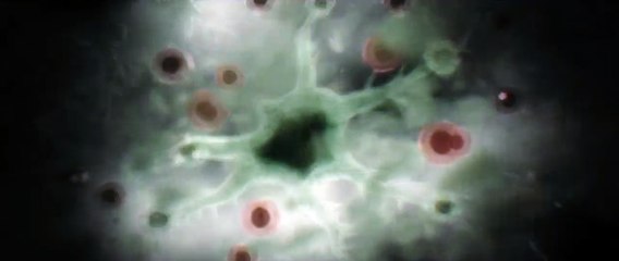 Swamp Thing 1ª Temporada Trailer (2) Original